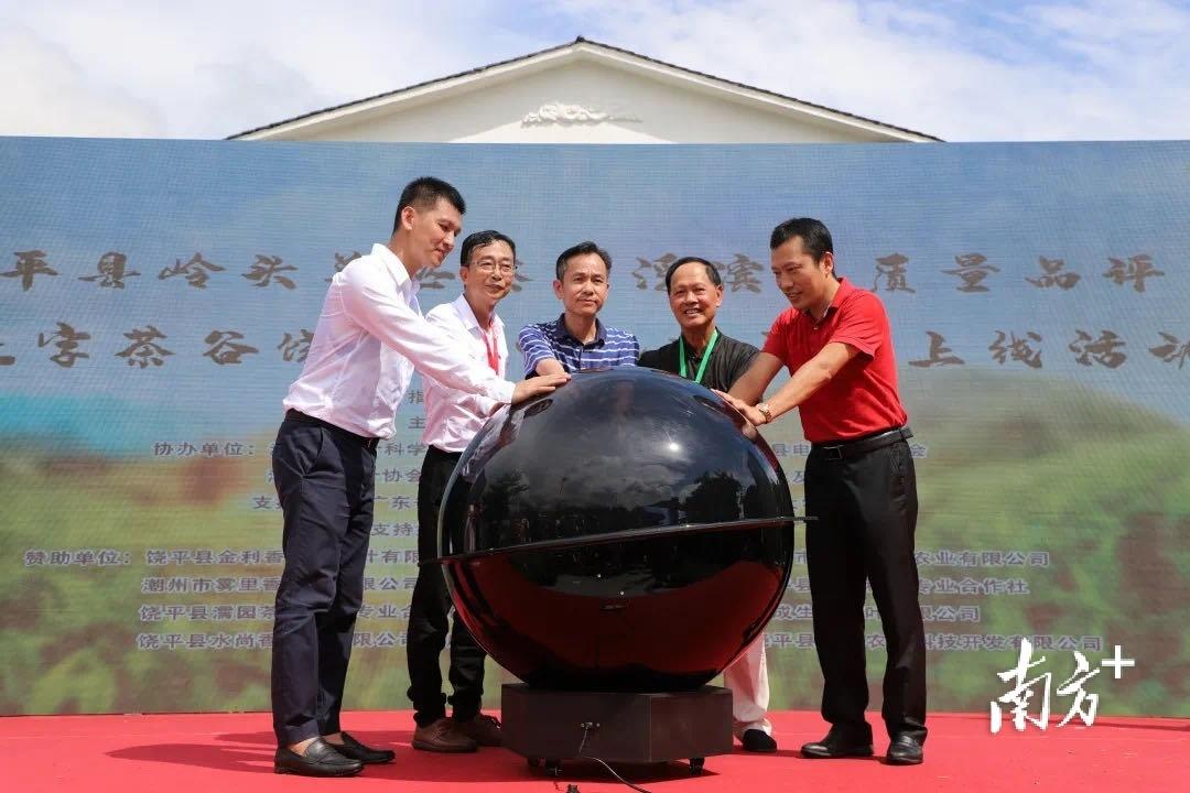 富硒单丛茶是什么茶(富硒茶和普通茶的区别)-硒宝网