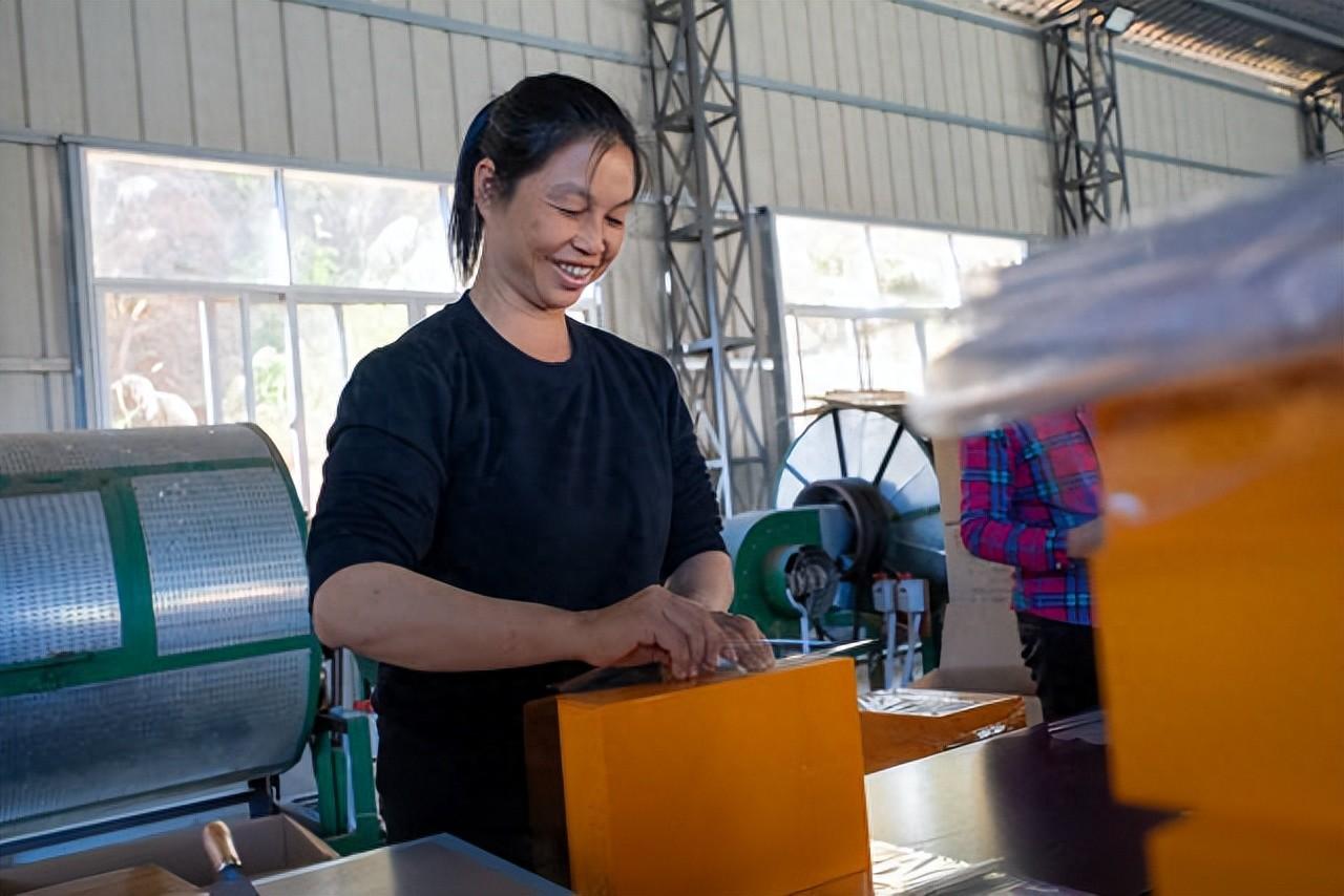 富硒单丛茶是什么茶（富硒茶具）-硒宝网