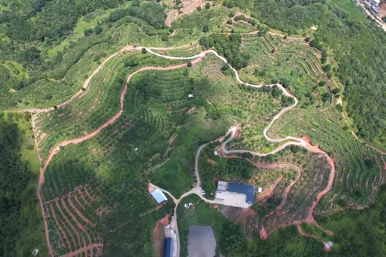 富硒单丛茶是什么茶（富硒茶具）-硒宝网