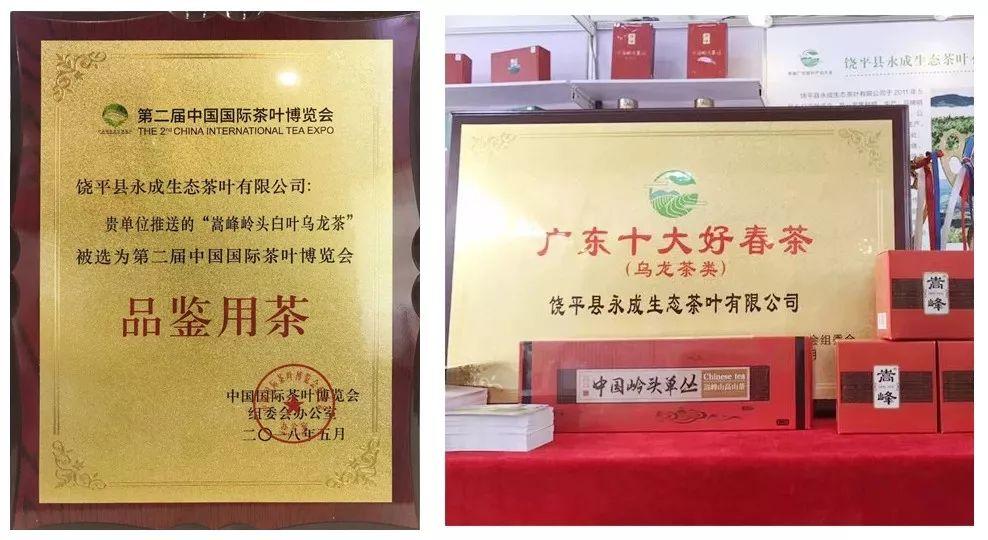 富硒单丛茶是什么茶(茶叶富硒)-硒宝网