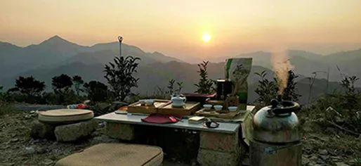 富硒单丛茶是什么茶(茶叶富硒)-硒宝网