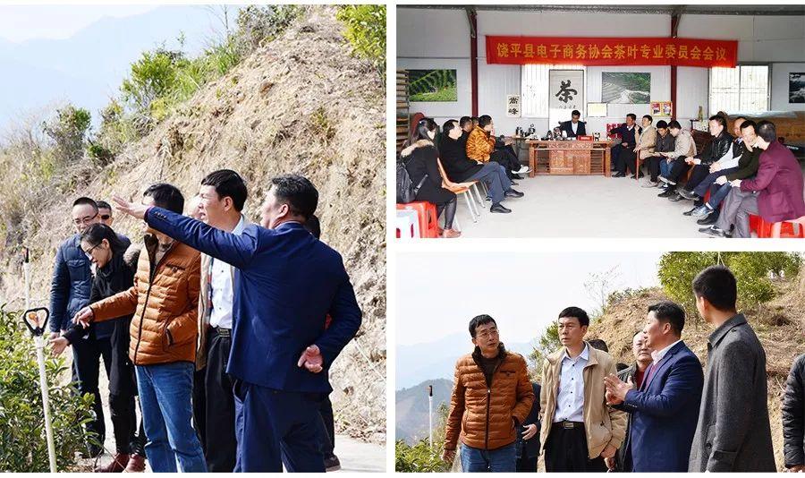 富硒单丛茶是什么茶(茶叶富硒)-硒宝网