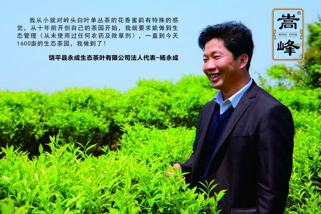 富硒单丛茶是什么茶(茶叶富硒)-硒宝网