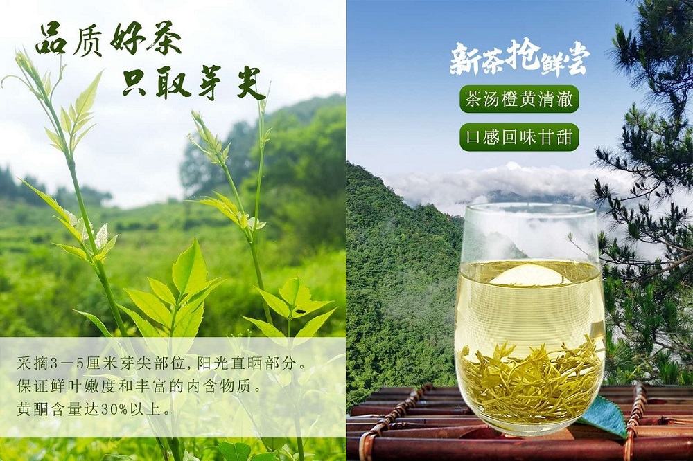 云雾问茶思施富硒茶(恩施云雾茶价格)-硒宝网