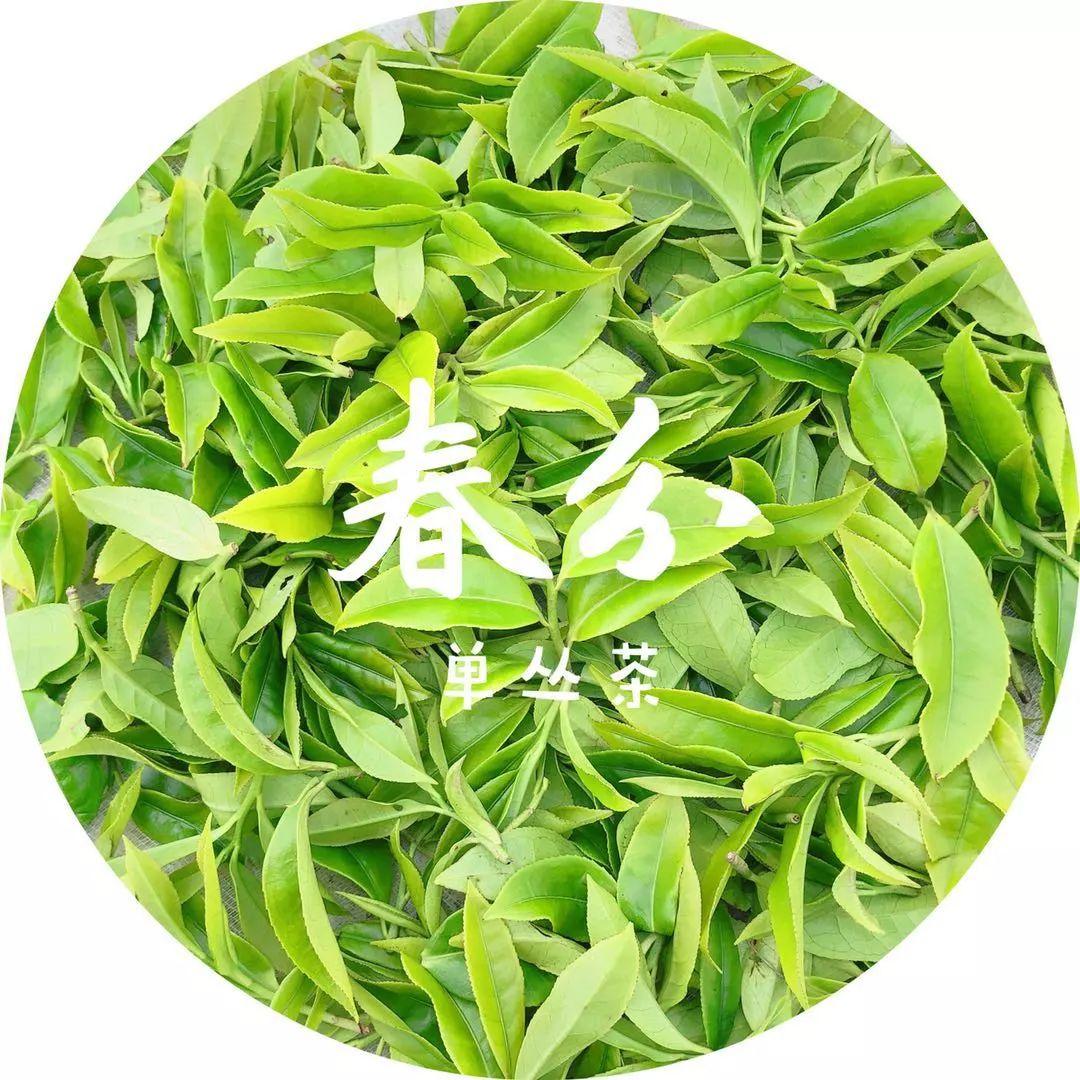 富硒单丛茶是什么茶(富硒茶硒含量的标准)-硒宝网