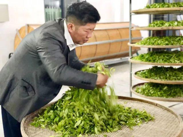 富硒单丛茶是什么茶(富硒茶硒含量的标准)-硒宝网