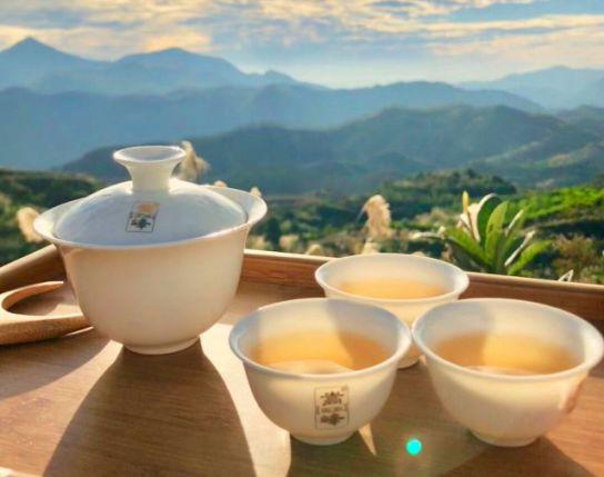 富硒单丛茶是什么茶(富硒茶硒含量的标准)-硒宝网