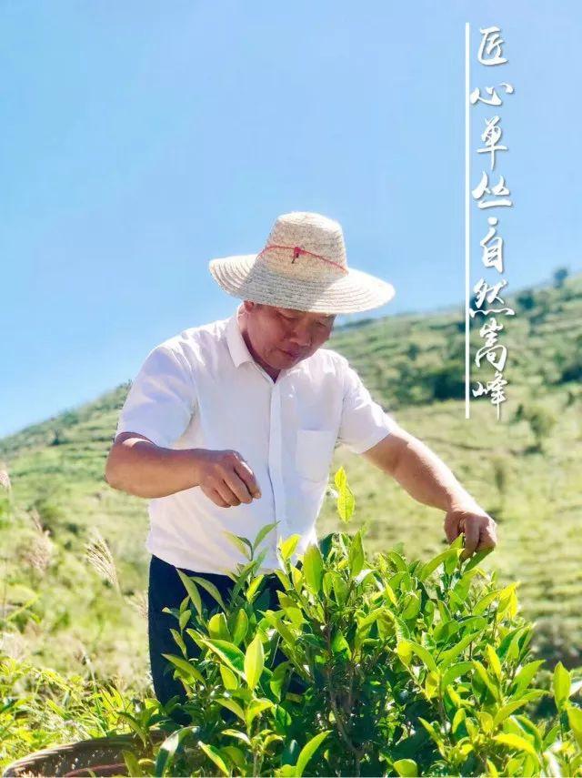 富硒单丛茶是什么茶(富硒茶硒含量的标准)-硒宝网