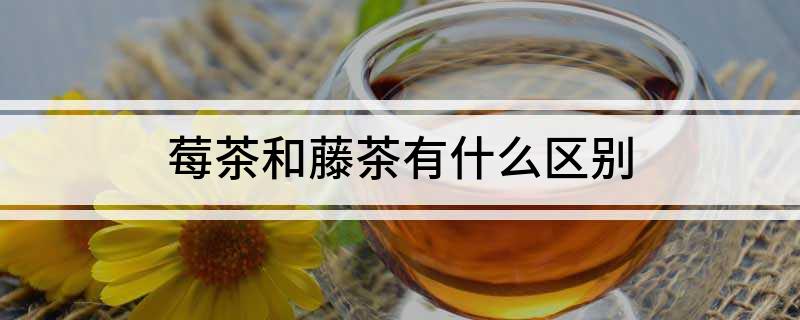 土家神茶和富硒藤茶（富硒藤茶的价格）-硒宝网