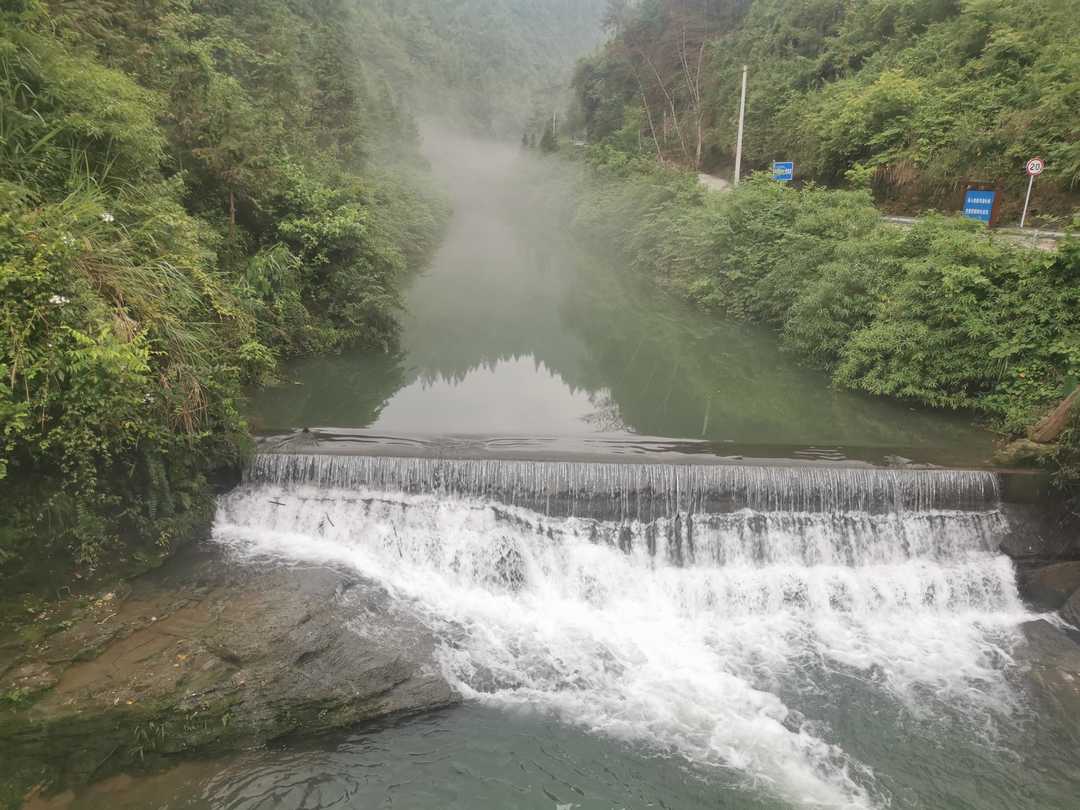 富硒藤茶和莓茶区别（富硒藤茶的价格）-硒宝网