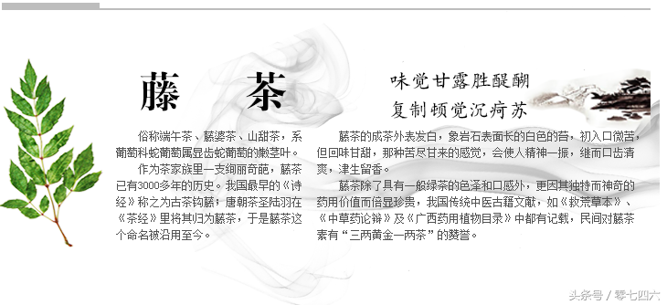 富硒藤茶和莓茶区别(富硒藤茶是莓茶吗)-硒宝网