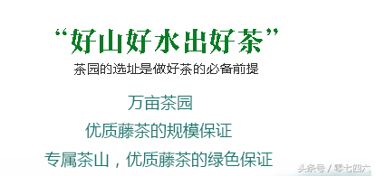 富硒藤茶和莓茶区别(富硒藤茶是莓茶吗)-硒宝网