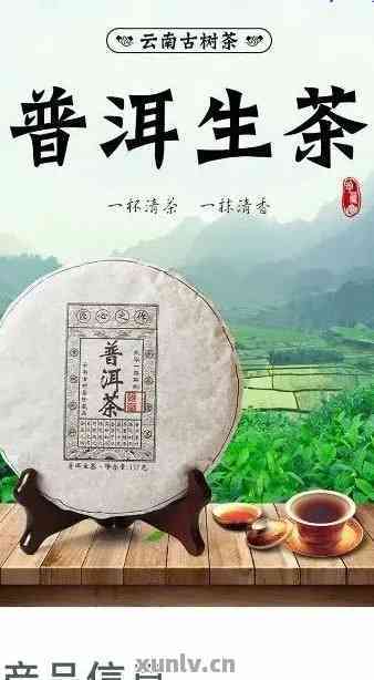 原生富硒普洱茶生茶(普洱原生庄园富硒茶)-硒宝网