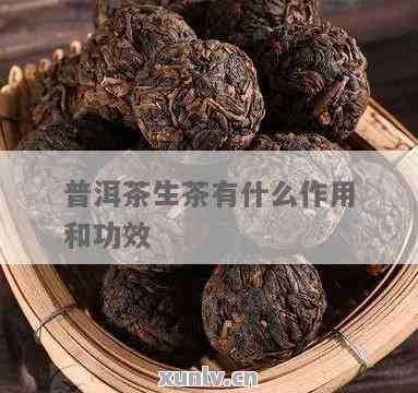 原生富硒普洱茶生茶(普洱原生庄园富硒茶)-硒宝网