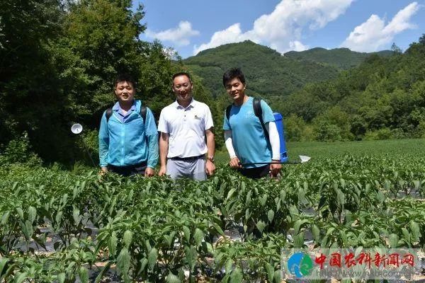 京康富硒茶是什么茶(京康富硒茶怎么样)-硒宝网