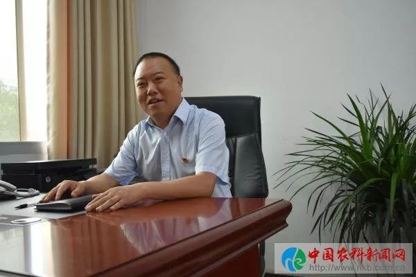 京康富硒茶是什么茶(京康富硒茶怎么样)-硒宝网