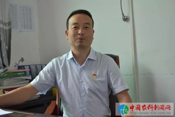 京康富硒茶是什么茶(京康富硒茶怎么样)-硒宝网