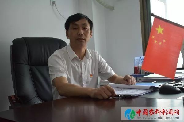 京康富硒茶是什么茶(京康富硒茶怎么样)-硒宝网