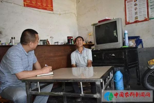 京康富硒茶是什么茶(京康富硒茶怎么样)-硒宝网