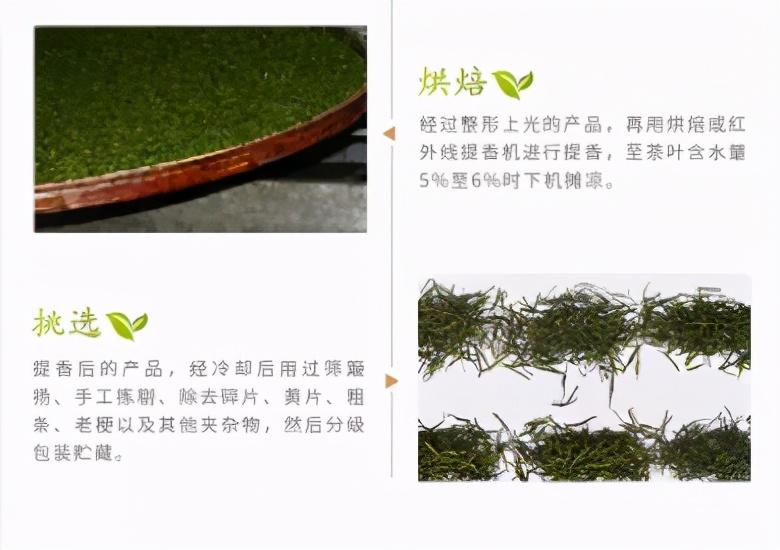 富硒藤茶就是藤茶吗（富硒藤茶的骗局）-硒宝网