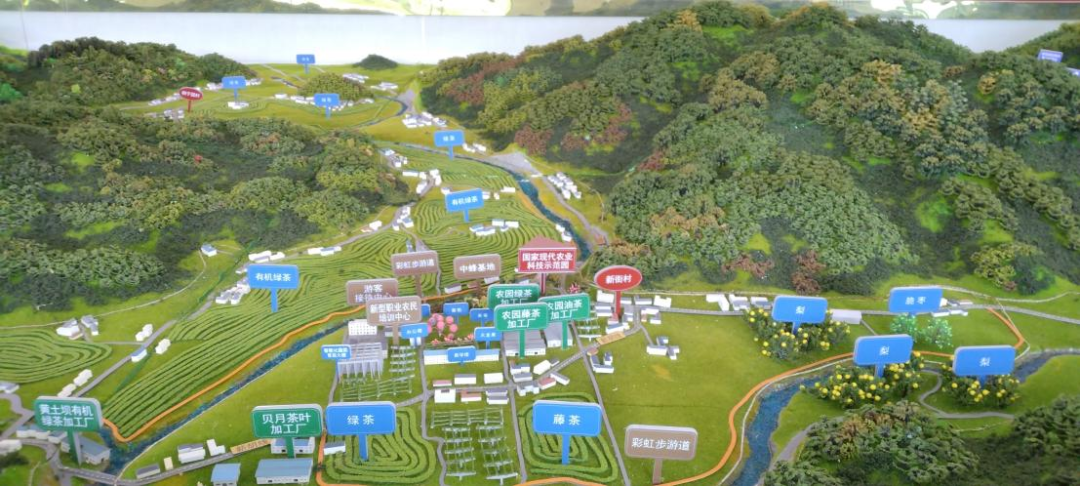 富硒藤茶就是藤茶吗(富硒藤茶价格)-硒宝网