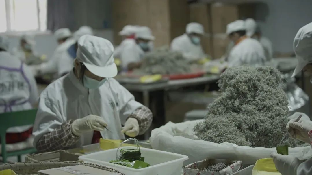 富硒藤茶就是藤茶吗(富硒藤茶价格)-硒宝网