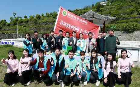 紫阳的茶是富硒茶吗(紫阳富硒茶叶)-硒宝网