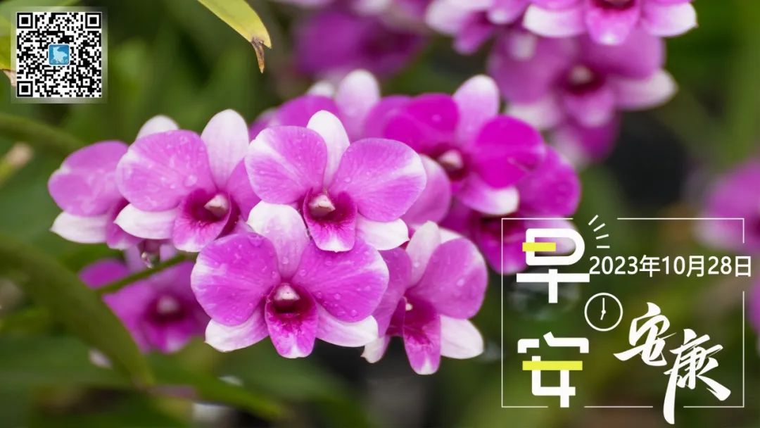 蒿坪富硒茶是什么茶（富硒茶中的硒指什么）-硒宝网