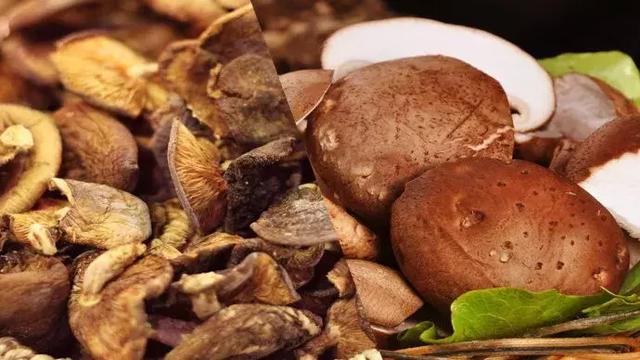 喝什么汤补钙(喝汤补钙还是吃肉补钙)-硒宝网