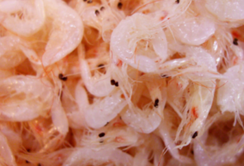 鱼鳞可以补钙吗(补钙鱼鳞可以吃吗)-硒宝网