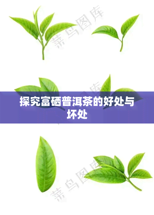 喝富硒茶有什么坏处(喝富硒茶的好处)-硒宝网