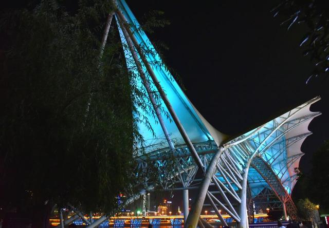 平利县绞股蓝富硒茶(富硒绞股蓝茶的功效)-硒宝网