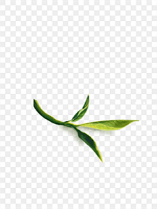 有机富硒茶什么意思（富硒有机茶价钱）-硒宝网