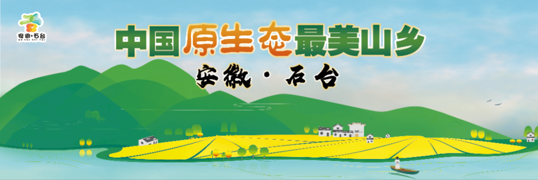 石台富硒茶是绿茶吗（石台富硒茶多少钱一斤）-硒宝网