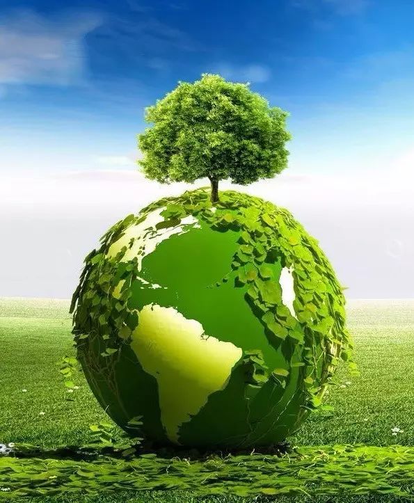 石台富硒茶是绿茶吗（石台富硒茶叶）-硒宝网