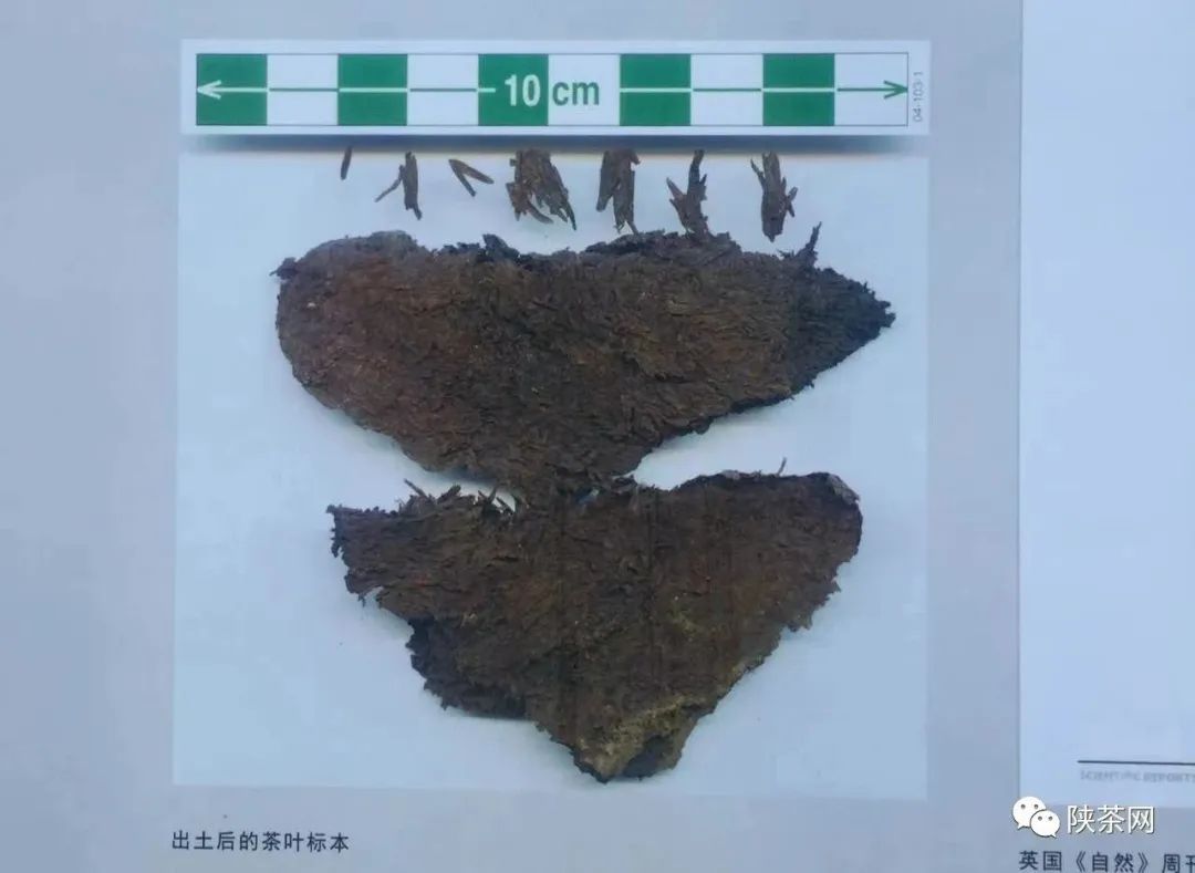 天然富硒茶产在何处（富硒茶产业国内现状）-硒宝网