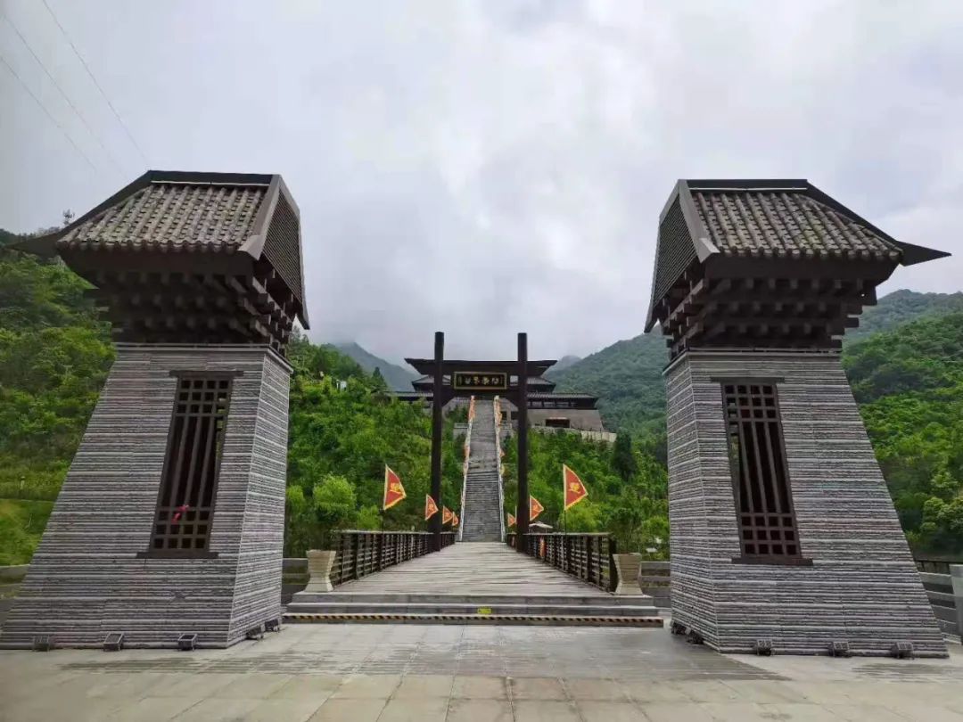 天然富硒茶产在何处（富硒茶的产地）-硒宝网