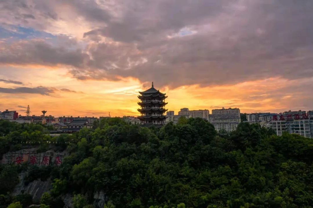 天然富硒茶产在何处（富硒茶的产地）-硒宝网