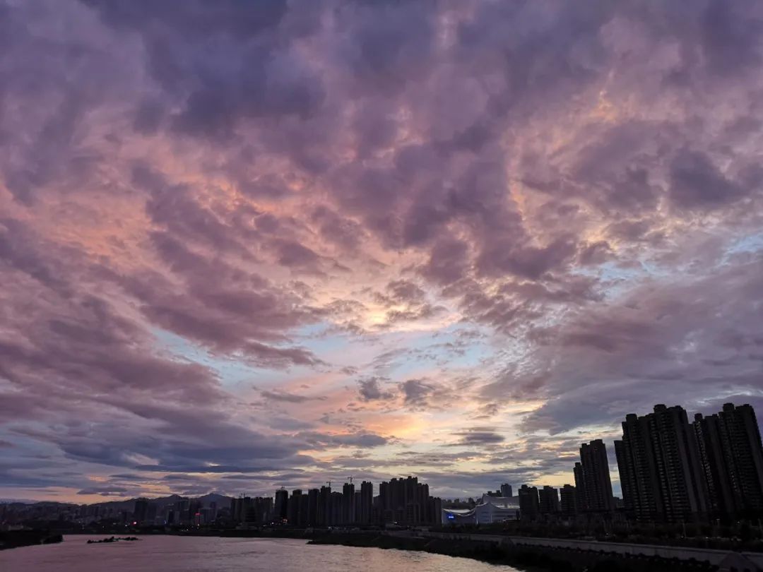 天然富硒茶产在何处（富硒茶的产地）-硒宝网