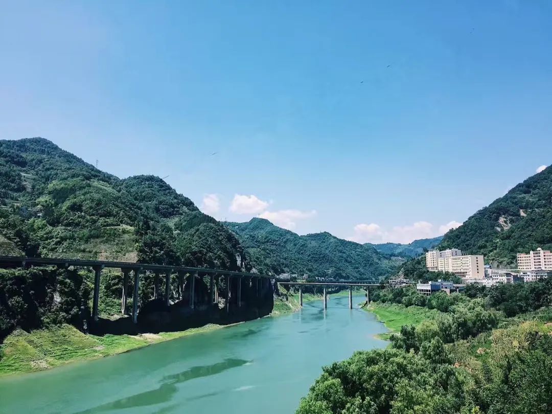 天然富硒茶产在何处（富硒茶的产地）-硒宝网