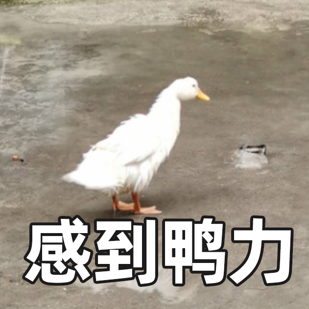 孕妇补铁过量的症状(过量孕妇症状补铁有用吗)-硒宝网