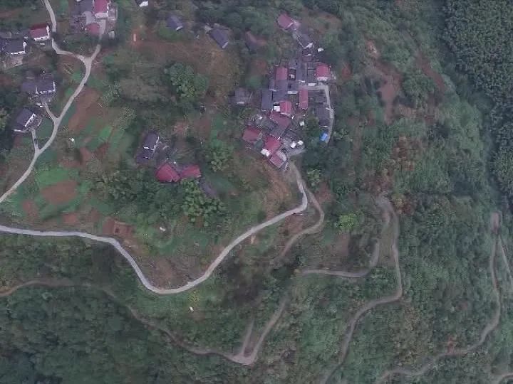 助农安徽石台富硒茶（安徽石台山的富硒茶）-硒宝网