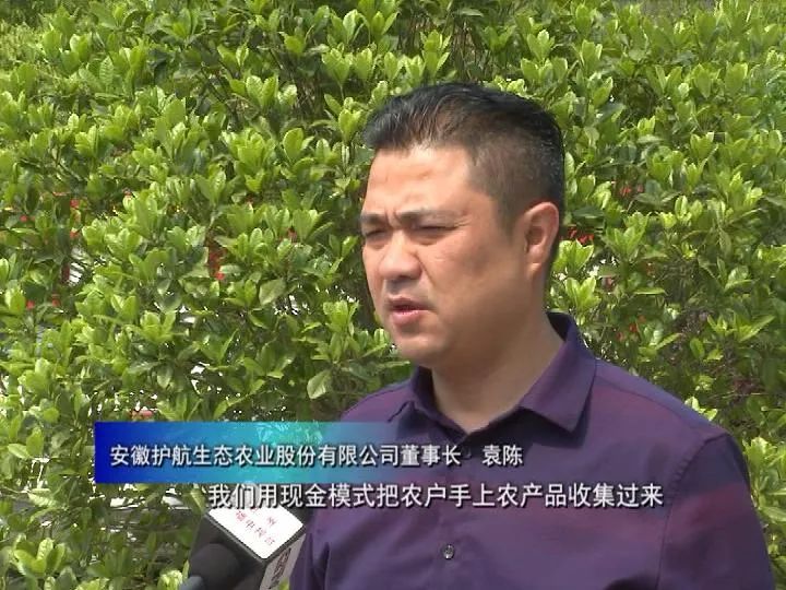 助农安徽石台富硒茶（安徽石台山的富硒茶）-硒宝网