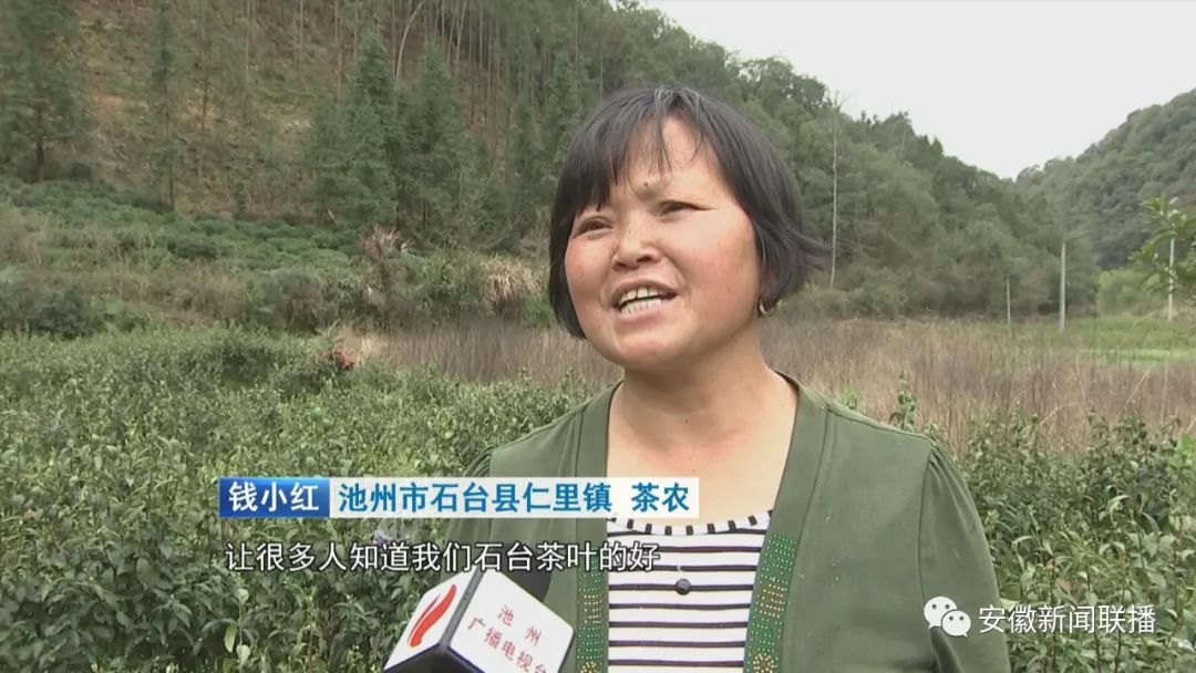 助农安徽石台富硒茶(石台富硒茶大概多少钱一斤)-硒宝网