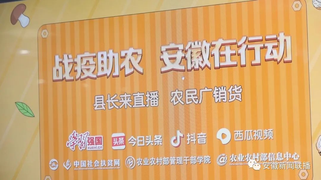 助农安徽石台富硒茶(石台富硒茶大概多少钱一斤)-硒宝网