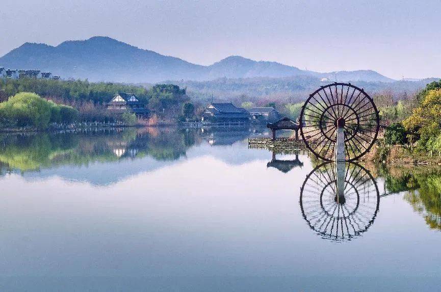 霄坑野生富硒茶价格(霄坑野生富硒茶价格)-硒宝网