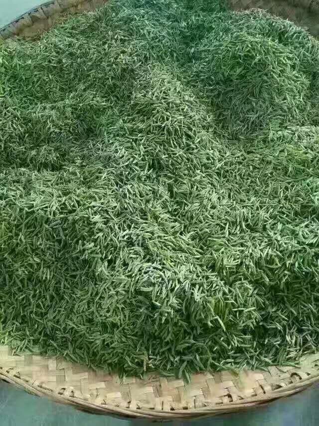 汉滨区马泥春富硒茶（马泥春富硒茶价格）-硒宝网