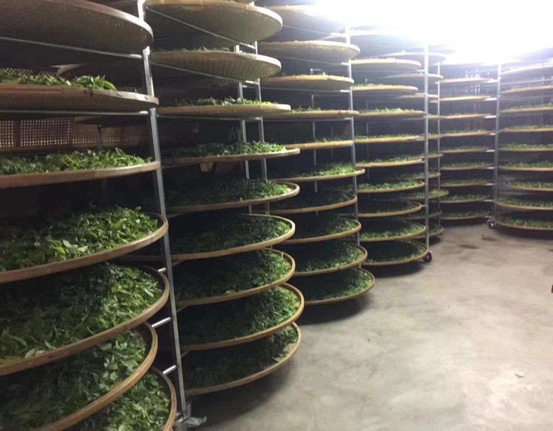 汉滨区马泥春富硒茶（马泥春富硒茶价格）-硒宝网