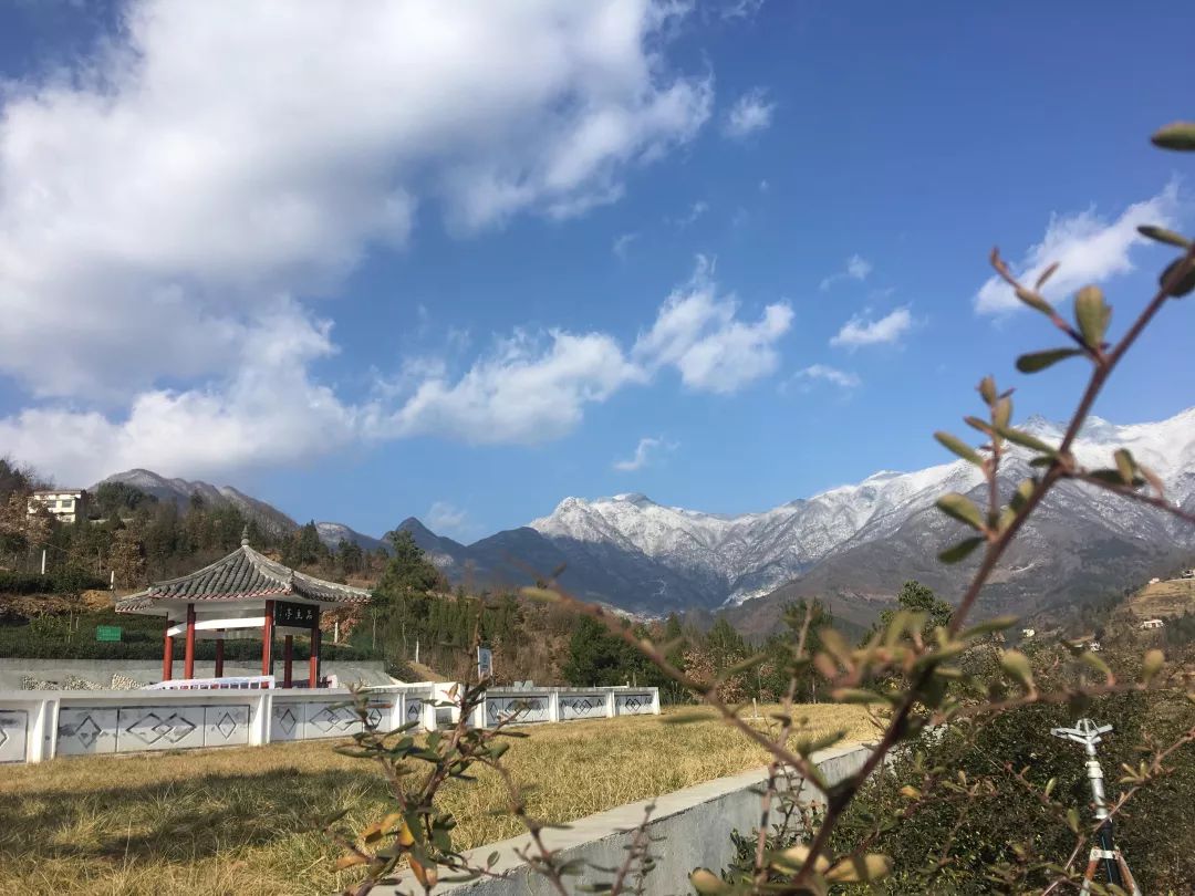 汉滨区马泥春富硒茶（马泥春富硒茶价格）-硒宝网