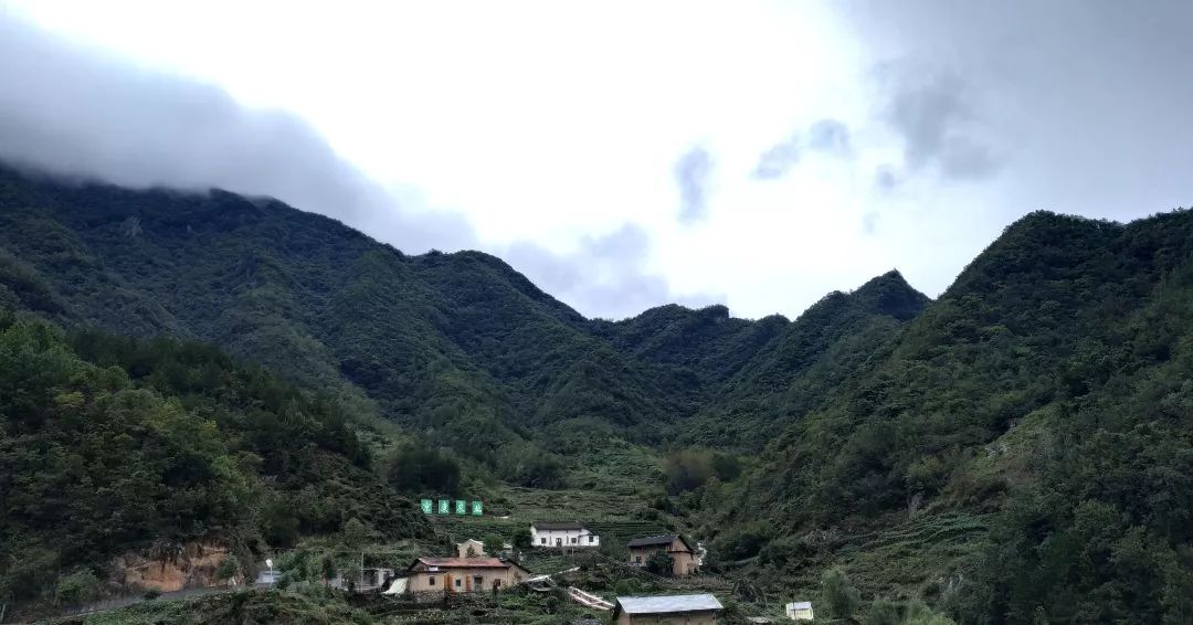 汉滨区马泥春富硒茶（马泥春富硒茶价格）-硒宝网
